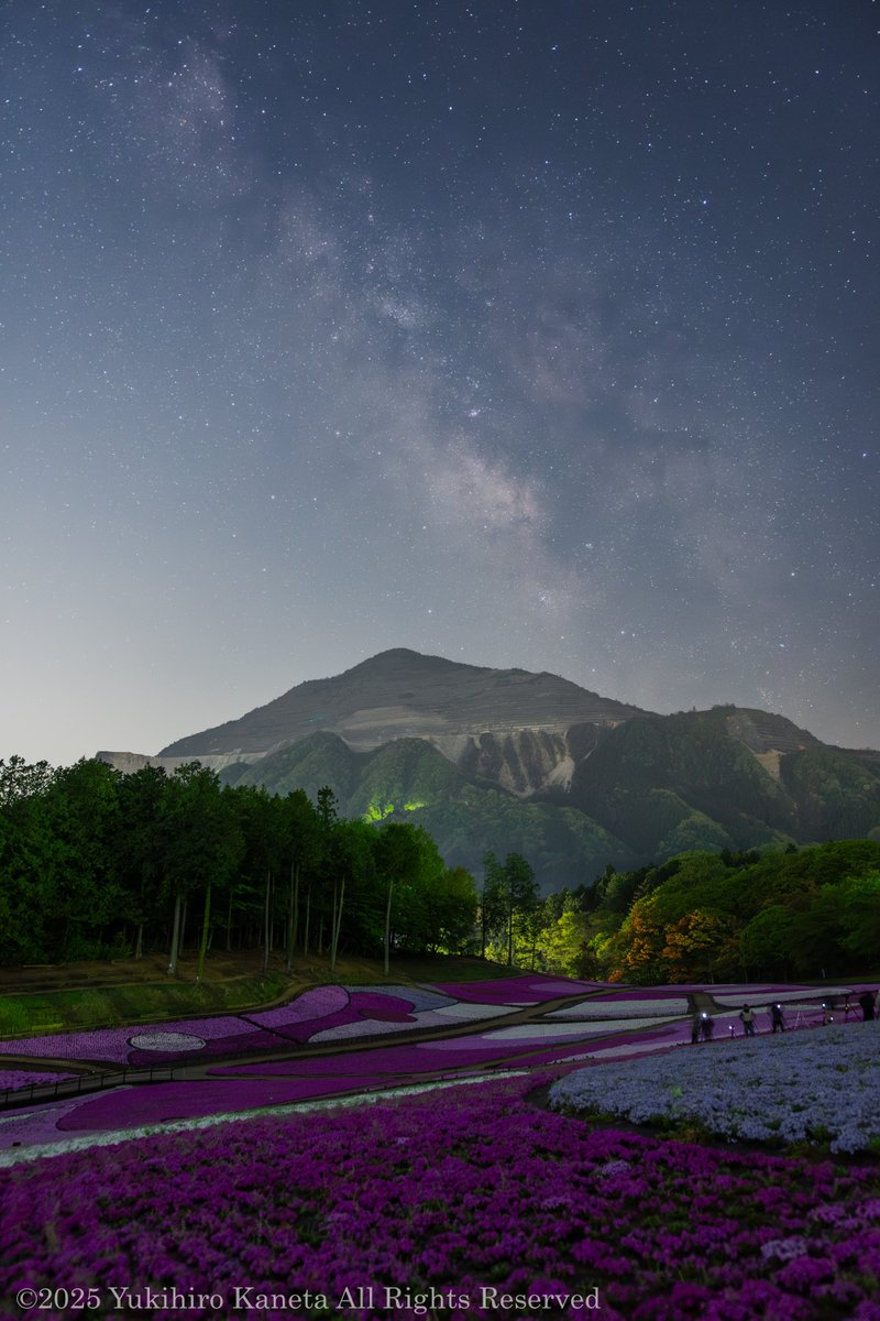 kaneta16's tweet photo. ここ数年で一番の仕上がりとの評判の秩父の芝桜。今夜は澄んだ星空で、天の川とのコラボも抜群。１枚撮りでも天の川がくっきり。深夜にも関わらず、カメラマンの数もすごい。本当に、全体が同時に満開になりまさに見頃です。GW前半は秩父にお出かけください。#秩父 #芝桜の丘 #羊山公園 https://t.co/GwoUTv81tT