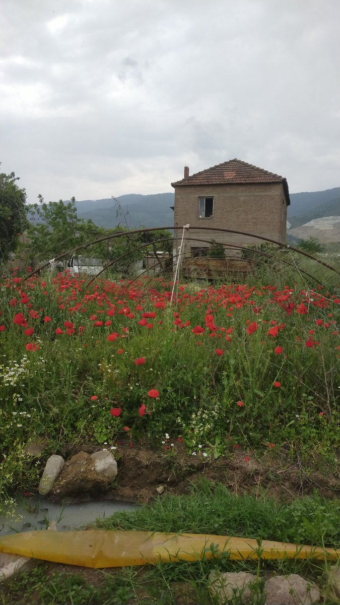 belgin_hafize's tweet photo. İnsanın köyü gibisi yok... https://t.co/uPEqZTfKZt