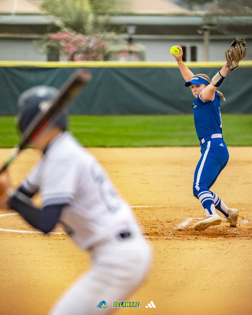 Delaware Softball tweet media