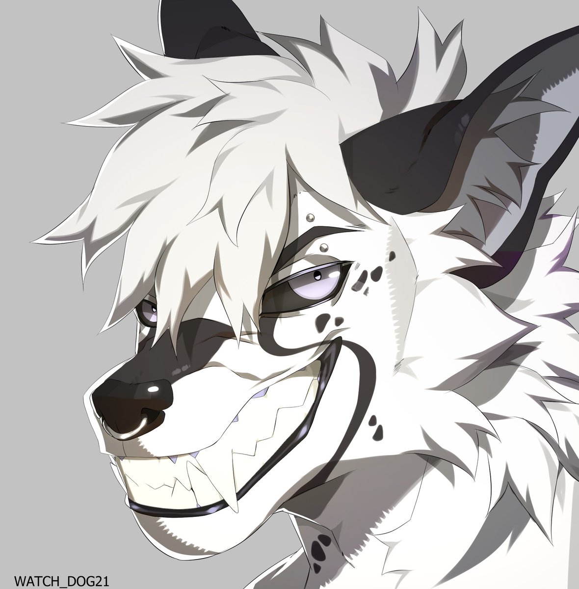 Watch_dog21 tweet media