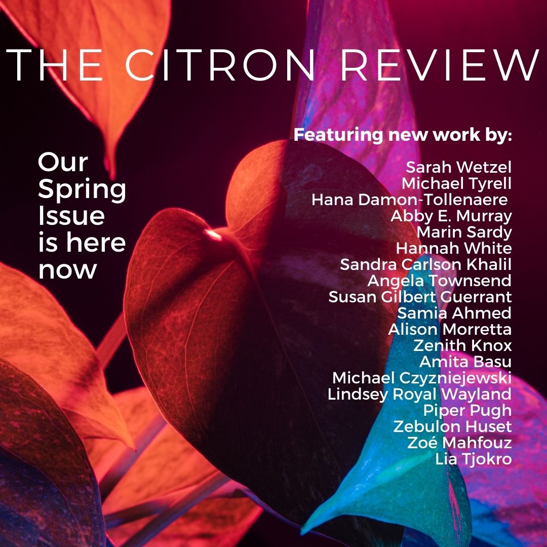 Spring is here!  We're excited to share the new issue from The Citron Review.  citronreview.com