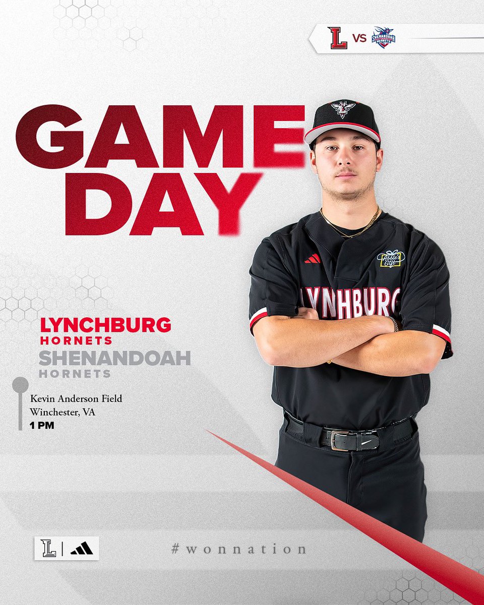 Lynchburg Baseball tweet media