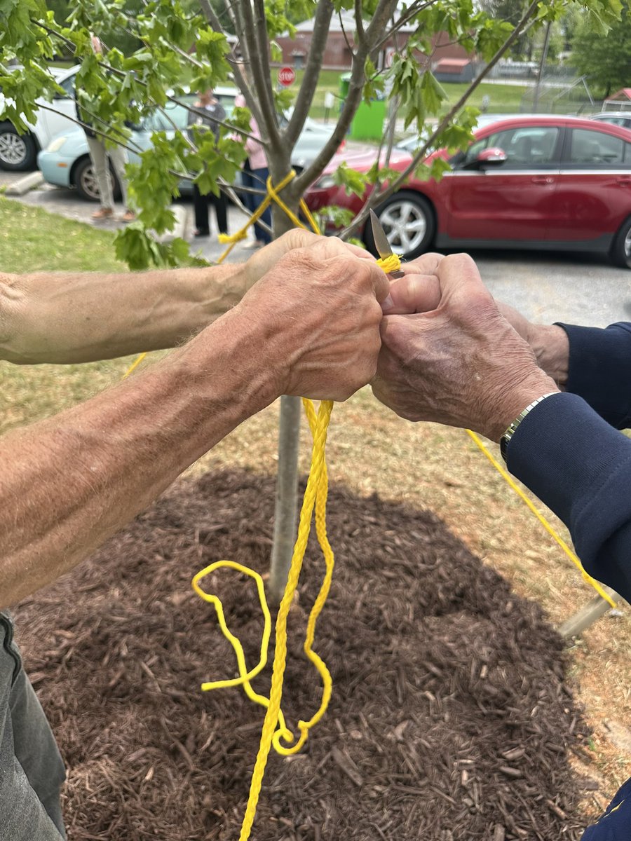 4SeasonsRotary's tweet image. We are honored to sponsor the annual #ArborDay ceremony with @HVL_NC every year since 1991!! Great event with support from the city’s Public Works & Tree Board, as well as @HCPSNC! #environment #earthday #RotaryGeek #peopleofaction @Rotary @TiffanyErvin @heels4corners