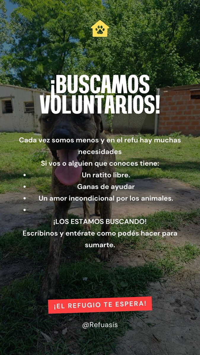 Ellos nos necesitan.
Cada caricia, cada ratito de amor, hace una gran diferencia.
Si sentís en el corazón el deseo de ayudar, este es el momento.
¡Sumate como voluntario y cambiá vidas!
@Refuasis

#AmorAnimal #Voluntariado