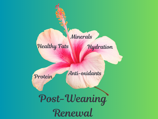 We often celebrate the milestones of our little ones—but what about the mother’s milestones?
After breastfeeding ends, your body deserves focused care to restore vital hormones and nutrients. In my latest article, I dive into how nutritional recovery after weaning can help you