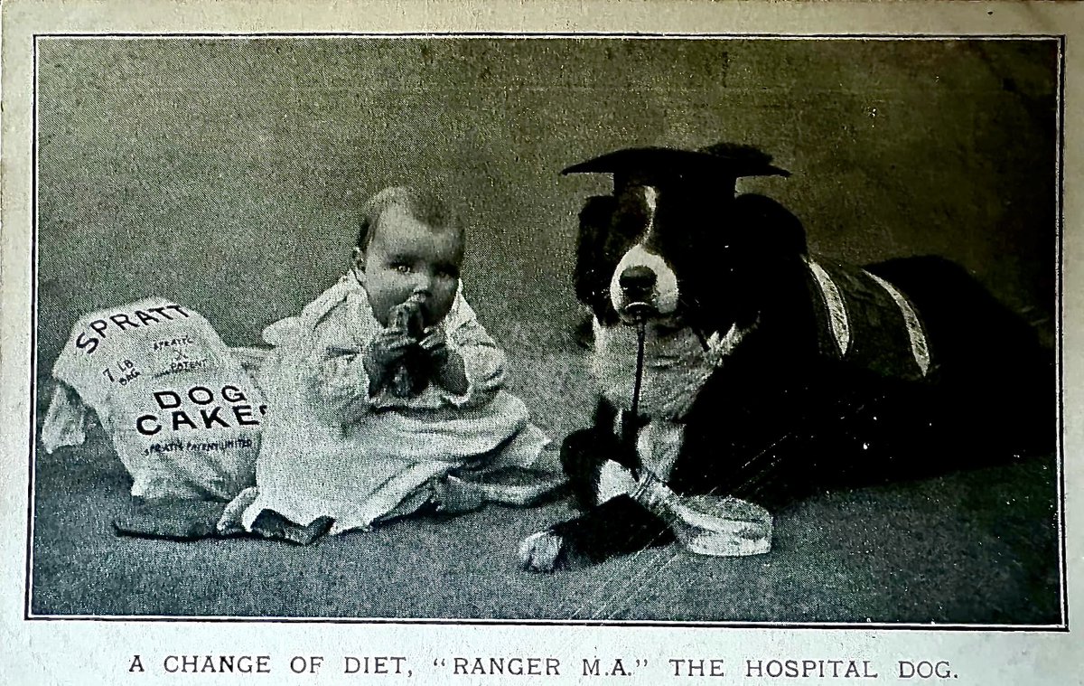 MTW NHS Hospital Archives tweet media