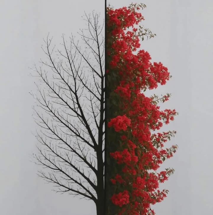 Everything is temporary۔