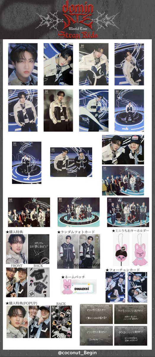 Stray Kids dominATE JAPAN 静岡 エコパ グッズ 交換 一覧 スキズ