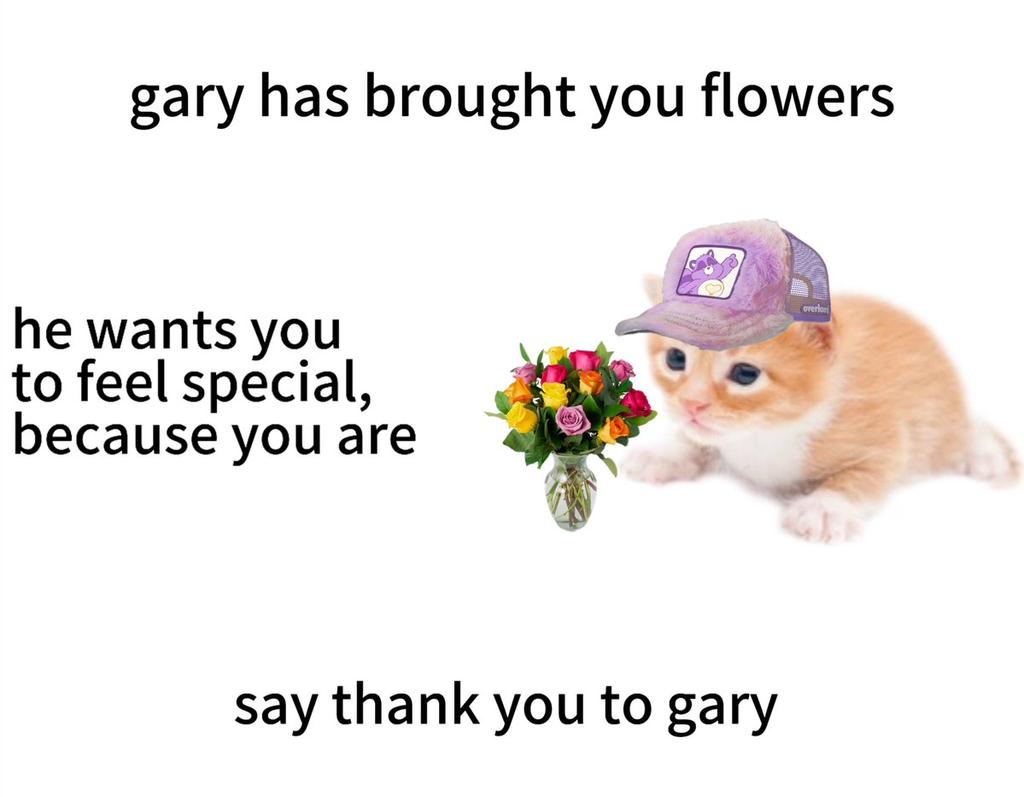catsareblessing's tweet photo. thank you gary 💐 https://t.co/1mp7IyqV9E