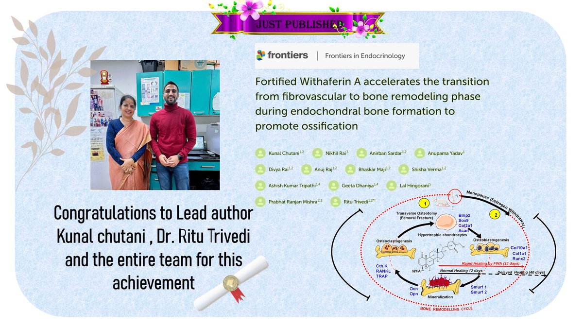 Glad to share our latest paper published in Frontiers in Endocrinology, illustrating the role of #withaferin A in #fracturehealing. Many congratulations to <a href="/kunal_chutani/">Kunal Chutani</a>, <a href="/ritu_trivedi/">Dr Ritu Trivedi, डा ऋतु त्रिवेदी</a>, and the entire team for this achievement. #BoneResearch 
link: [shorturl.at/zVcd4]