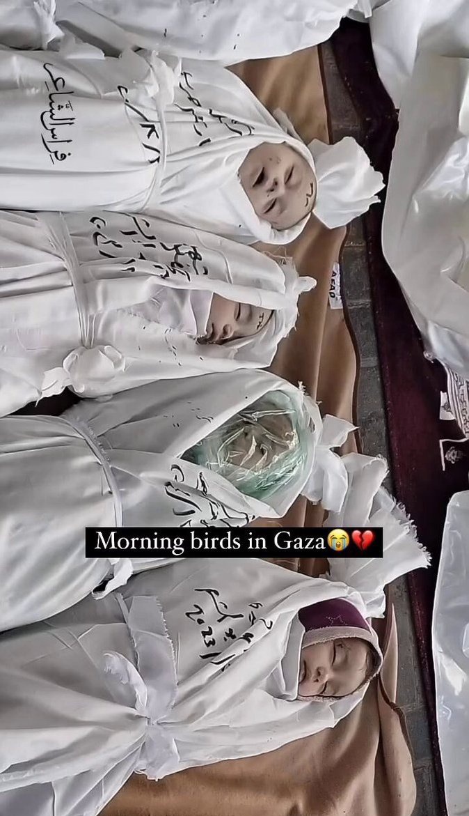 فلسطین کے بارے میں بات کرنا بند نہ کریں چاہے آپ اکیلے ہی بات کر رہے ہوں 💔💔💔