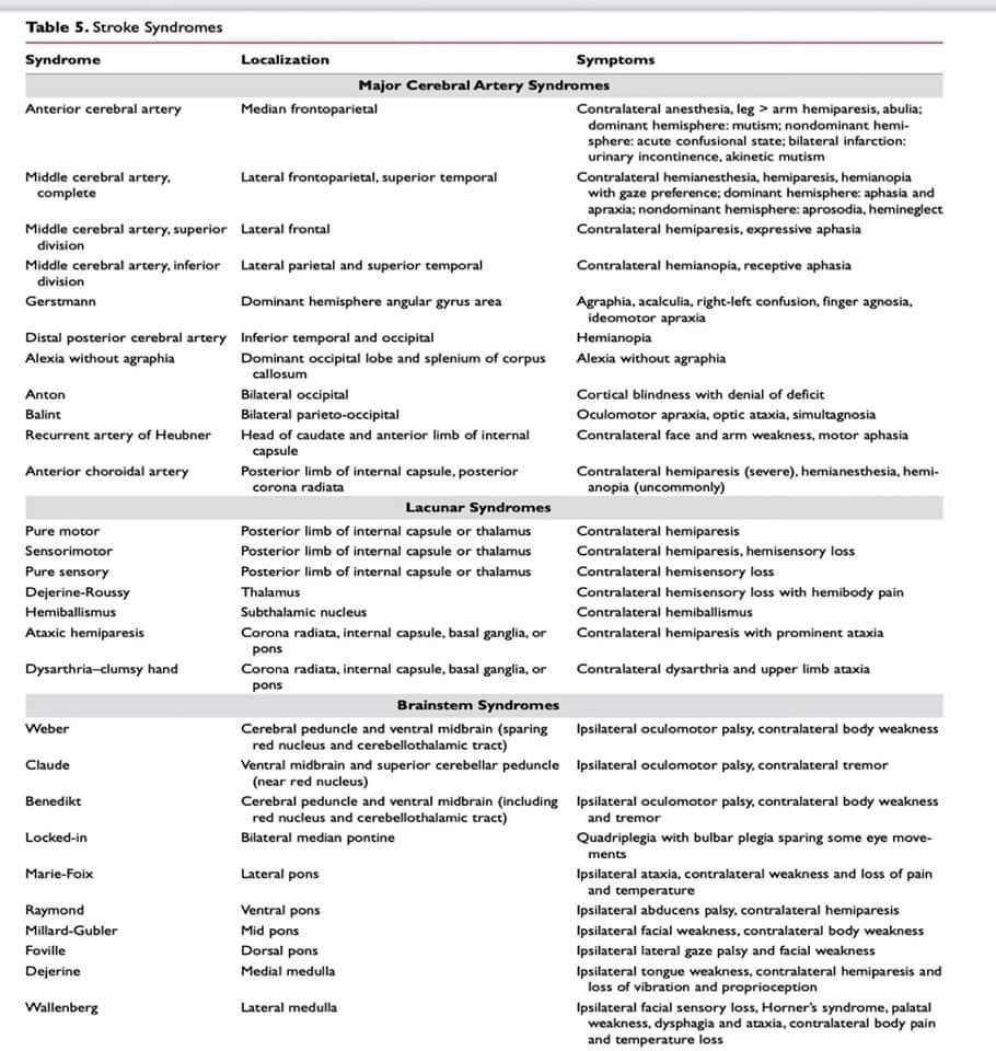 🔴Stroke Syndromes - Localization of Vascular territories and Symptoms⤵️  
 
🔹Save  Stroke Syndromes
 #Cardiology #FOAMed #MedEd #medstudent #paramedic #Cardiology #CardioEd #medtwitter #meded #CardioTwitter #cardiotwiteros  #MedX #cardiovascular #MedTwitter #medical #medEd