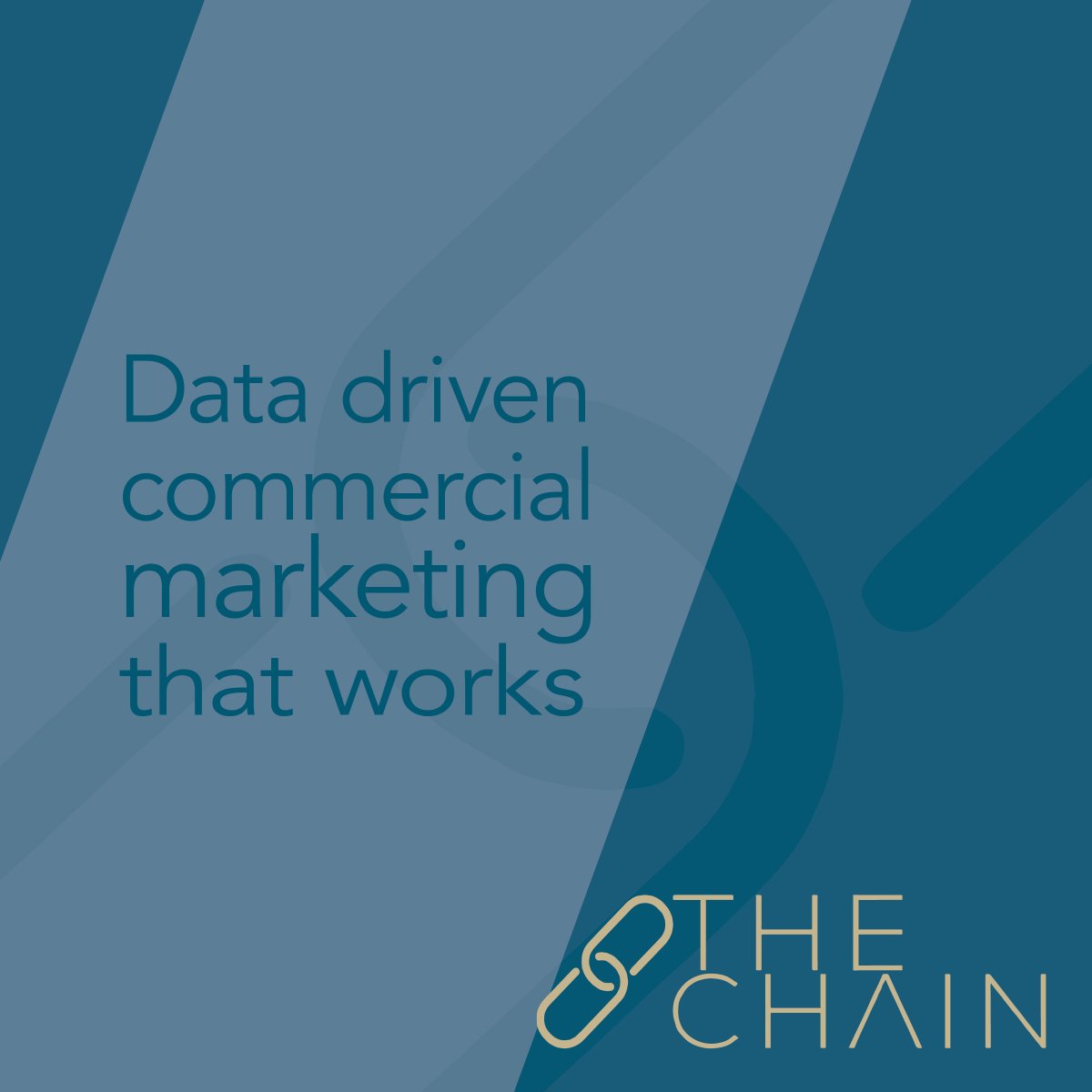 The Chain Marketing Agency tweet media