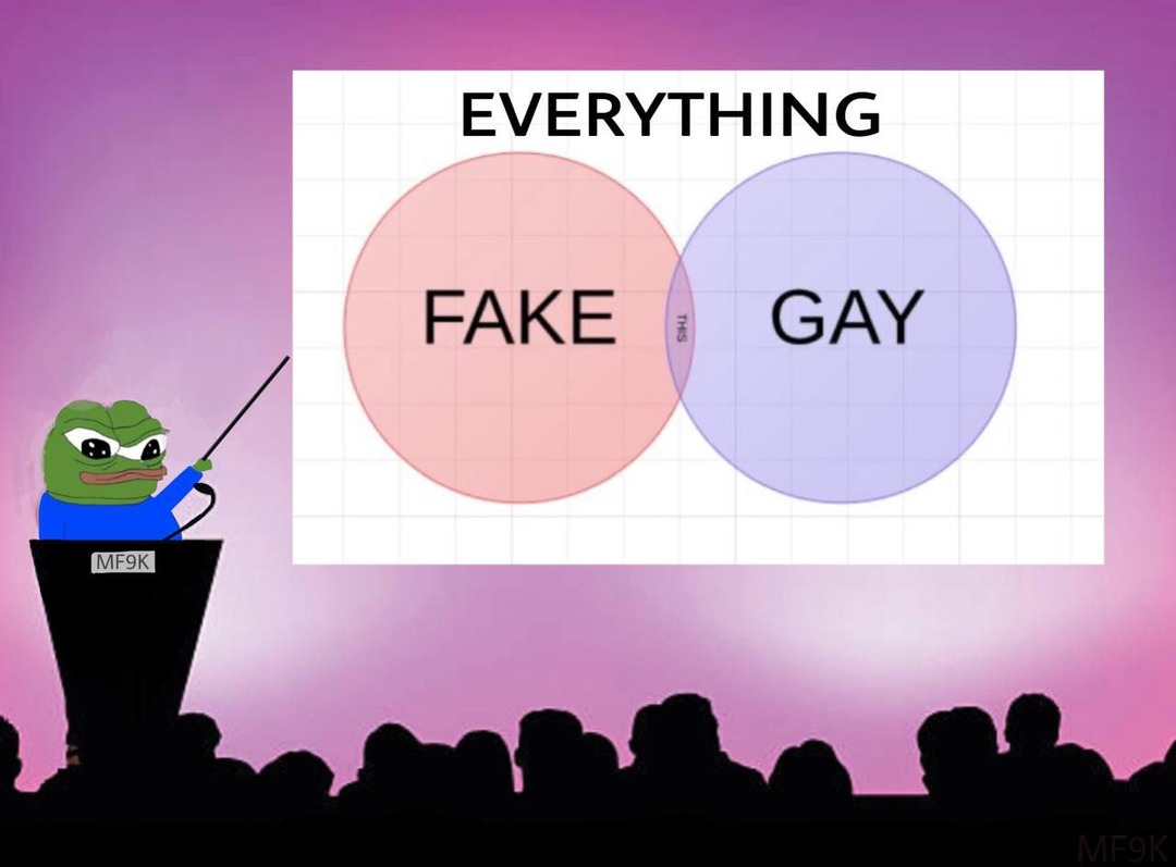Fake and Gay tweet media