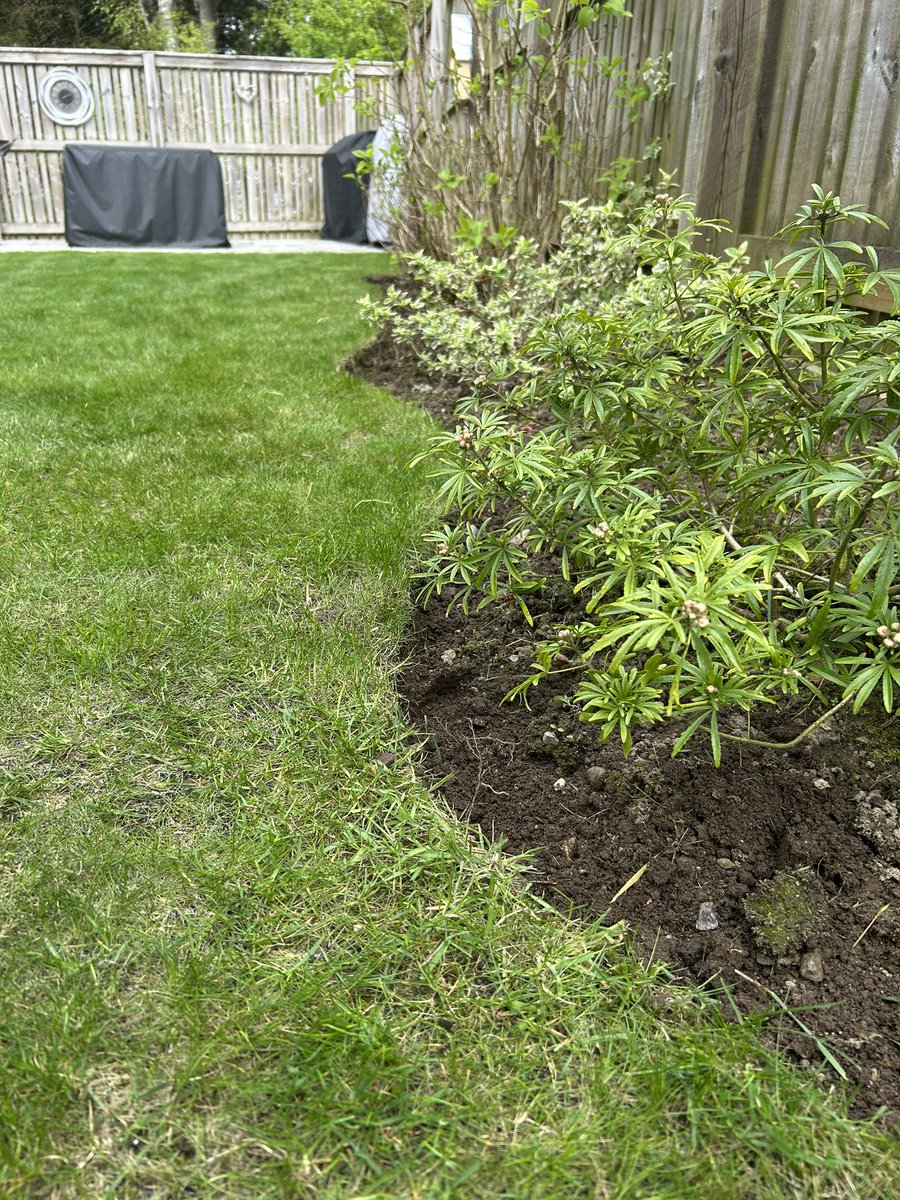 Midlife bants… Grass is looking decent, did a bit of edging too. 👩‍🌾