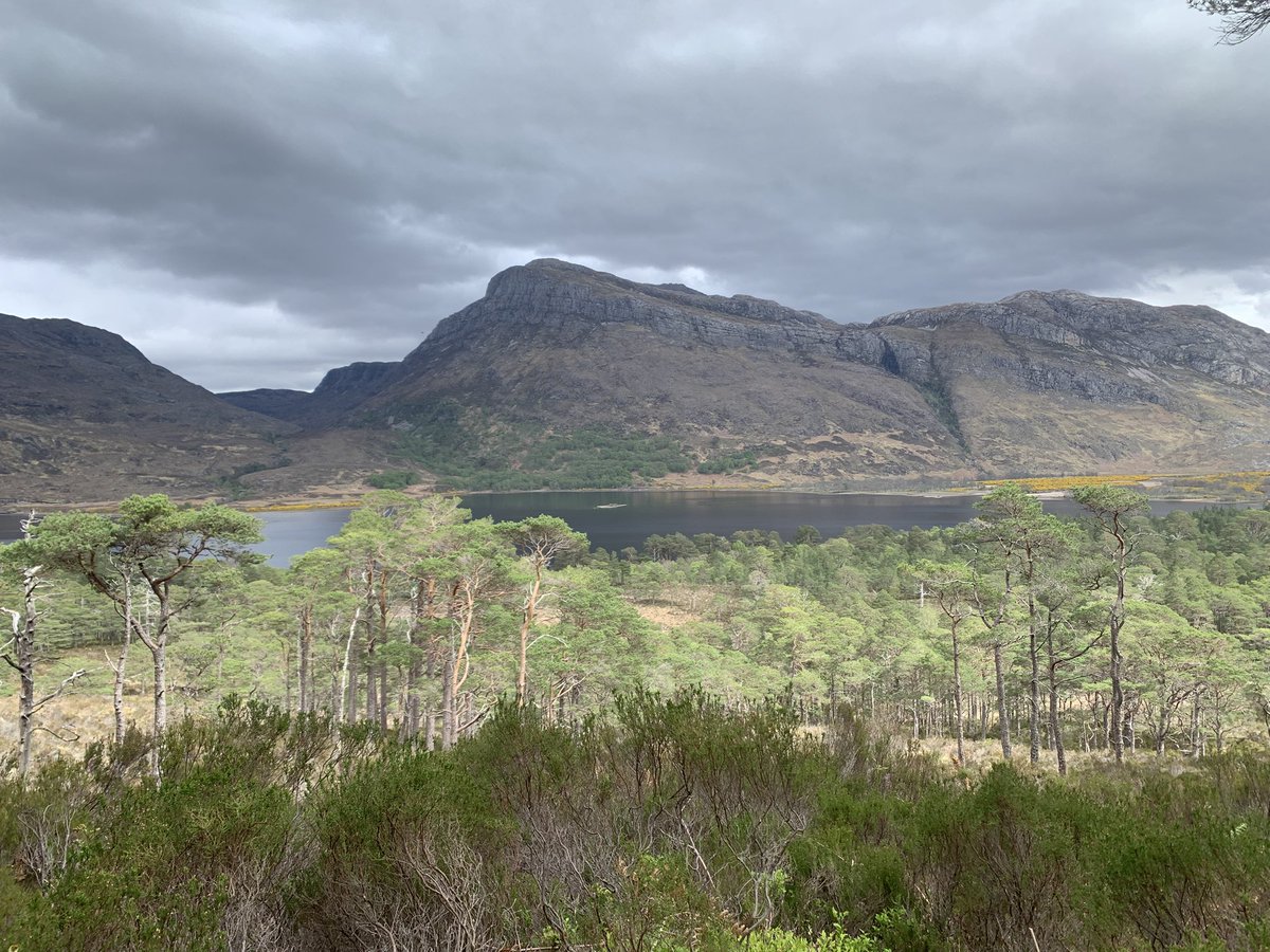 Emily Richens tweet media