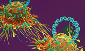 If you enjoyed the session “Cancer Predisposition in Childhood Cancer: Implications for Prevention, Surveillance, Interception, and Survivorship Care ", then check out the recent series on the topic. #AACR25 brnw.ch/21wSeVa