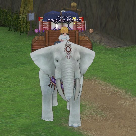 나 드디어! 코끼리샀다!!!