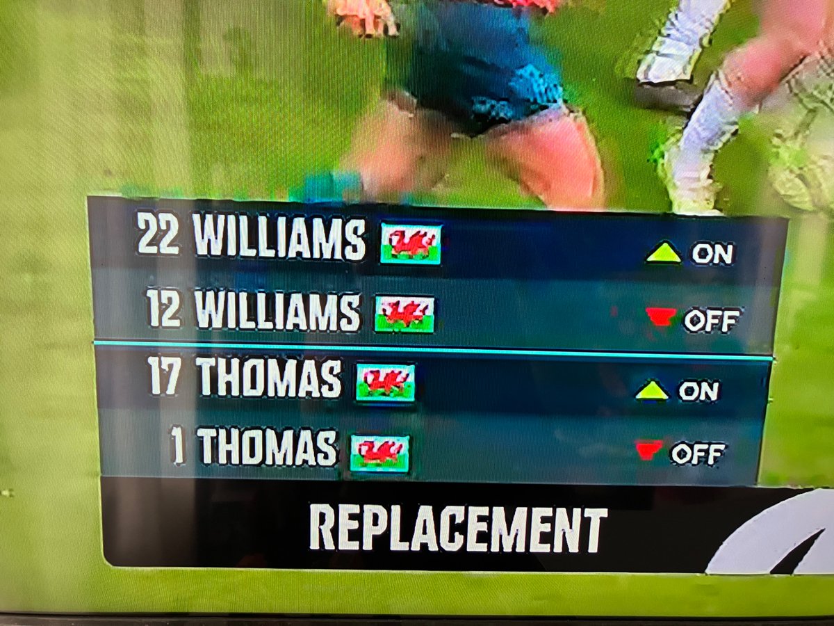 The most Welsh Rugby image of all time