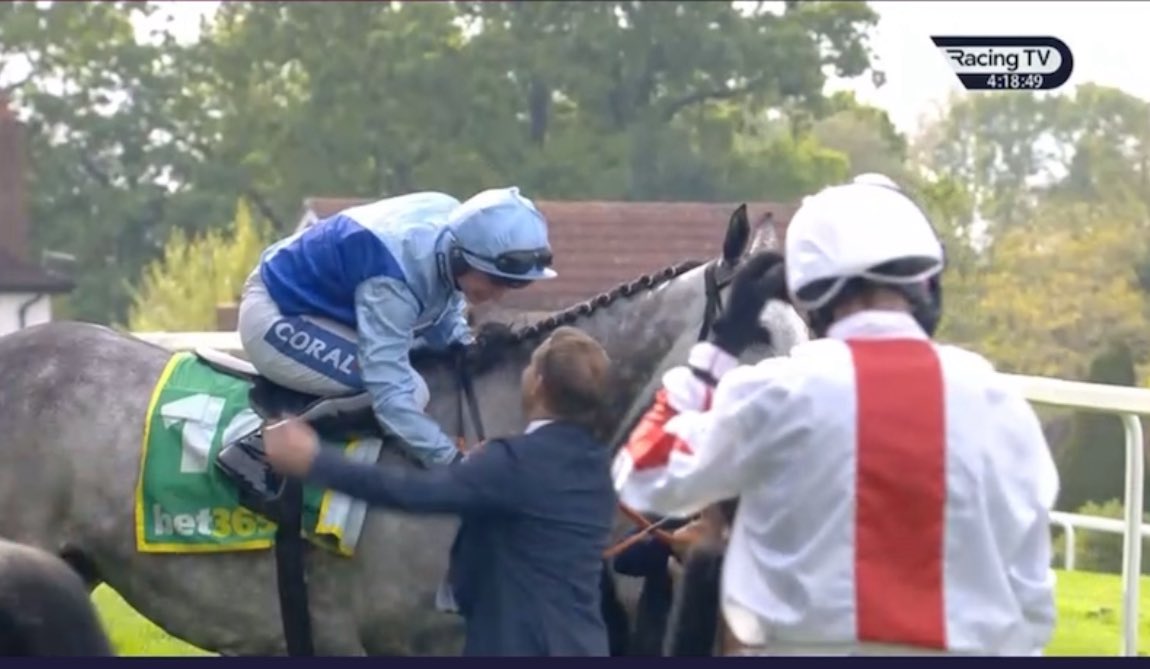 TheVik00's tweet photo. RT @dickieevans1: My Nap Of the day wins the big race Bet 365 Gold Cup

Resplendent Grey 9/2 ⭐️⭐️⭐️⭐️⭐️ boom get in https://t.co/oRl6KC7eVw