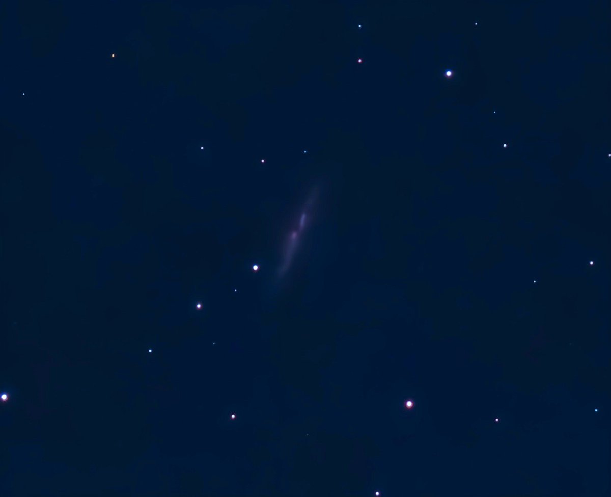 葉巻星雲

 #んずきゃん