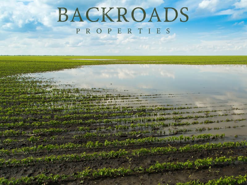 Backroads Properties tweet media
