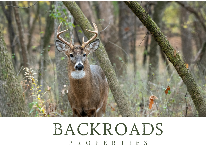 Backroads Properties tweet media
