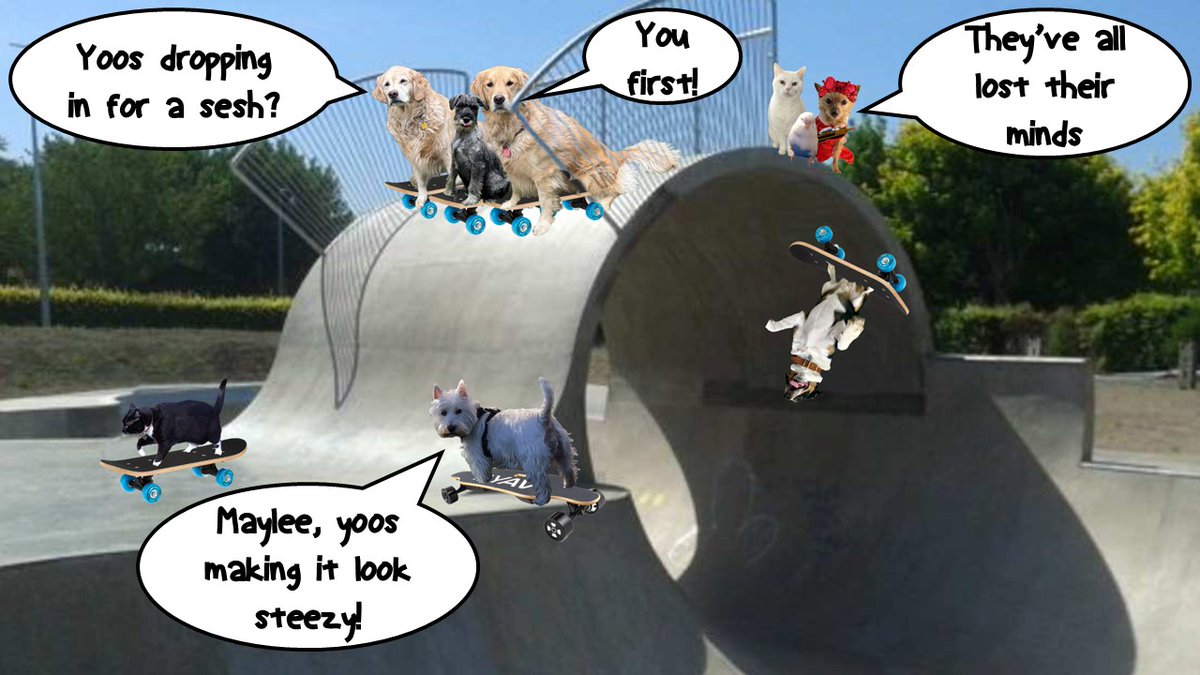 Rhona the Relentless... taking over for Frankie (@pestiew) on Twitter photo OMD Maylee - look at yoos! Yoos are making it look STEEZY!
#zzst
<a href="/jerry_tuxedo/">LT Jerry🫡 & Brugge🐻 🐾⛱🇦🇺🏝</a> <a href="/headdoc03/">Roxy 🦮, Mickie🦮,Pattie Cakes🐱 & Mom 🌹</a> <a href="/DogDazeUK/">Tikki the Westie, Kila and 🌈Oscar🌈, #ZSHQ</a> <a href="/Mrsrebmik/">💜Kiko &💜Woofie &💜Katkins</a> <a href="/lizzie_bear2016/">Lt Lizzie 💝’s Spring & her #ZSHQ Community🫡</a> <a href="/BaleMudgie/">Bale Mudgie #RIPPuk</a> <a href="/Snowwhite_catO/">Snow white cat🤍💔bovver🖤Poezie🐯Tiger🐺Sprite</a> OMD Maylee - look at yoos! Yoos are making it look STEEZY!
#zzst
<a href="/jerry_tuxedo/">LT Jerry🫡 & Brugge🐻 🐾⛱🇦🇺🏝</a> <a href="/headdoc03/">Roxy 🦮, Mickie🦮,Pattie Cakes🐱 & Mom 🌹</a> <a href="/DogDazeUK/">Tikki the Westie, Kila and 🌈Oscar🌈, #ZSHQ</a> <a href="/Mrsrebmik/">💜Kiko &💜Woofie &💜Katkins</a> <a href="/lizzie_bear2016/">Lt Lizzie 💝’s Spring & her #ZSHQ Community🫡</a> <a href="/BaleMudgie/">Bale Mudgie #RIPPuk</a> <a href="/Snowwhite_catO/">Snow white cat🤍💔bovver🖤Poezie🐯Tiger🐺Sprite</a>