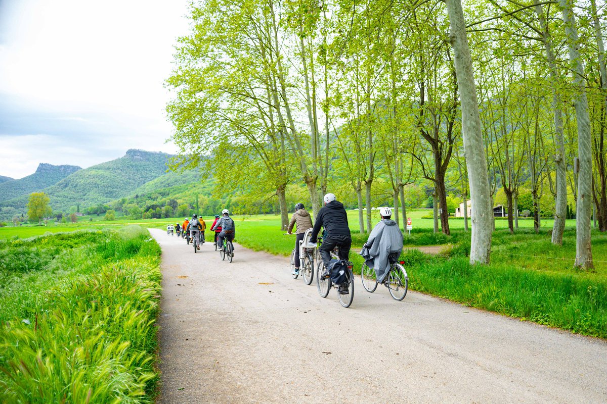 BACHCELONA tweet media