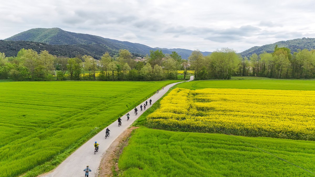 BACHCELONA tweet media