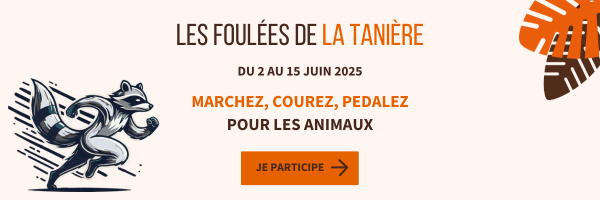 ✨Les Foulées de La Tanière✨

Du 2 au 15 juin 2025, La Tanière organise une course au profit de nos actions.

L’objectif est simple : sensibiliser, rassembler, et récolter des fonds pour aider leurs pensionnaires et poursuivre leurs missions de sauvetage

les-foulees-de-la-taniere.fr