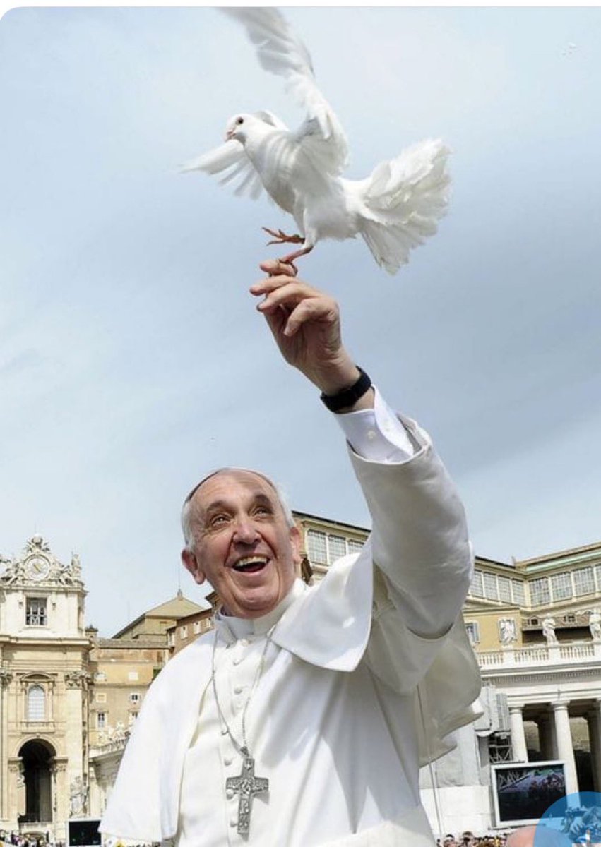 Colegio Diocesano San Antonio de Padua II (@sanantonio_2) on Twitter photo Papa Francisco, nos enseñó que la Iglesia no está en los templos más grandes, sino en el corazón del que ama, del que ayuda, del que perdona. Nos habló con palabras sencillas, pero llenas de verdad. Que Dios lo bendiga siempre.
#PapaFrancisco #PapaFrancesco <a href="/DFSVM/">Colegios Diocesanos</a> <a href="/archivalencia/">Archidiócesis de Valencia</a> Papa Francisco, nos enseñó que la Iglesia no está en los templos más grandes, sino en el corazón del que ama, del que ayuda, del que perdona. Nos habló con palabras sencillas, pero llenas de verdad. Que Dios lo bendiga siempre.
#PapaFrancisco #PapaFrancesco <a href="/DFSVM/">Colegios Diocesanos</a> <a href="/archivalencia/">Archidiócesis de Valencia</a>