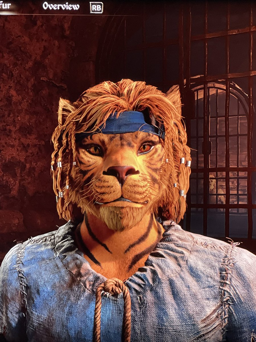 Pyronithious's tweet image. Here’s my character for Oblivion remastered
#Oblivionremaster