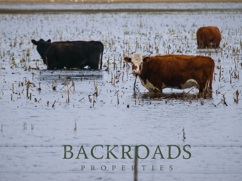 Backroads Properties tweet media