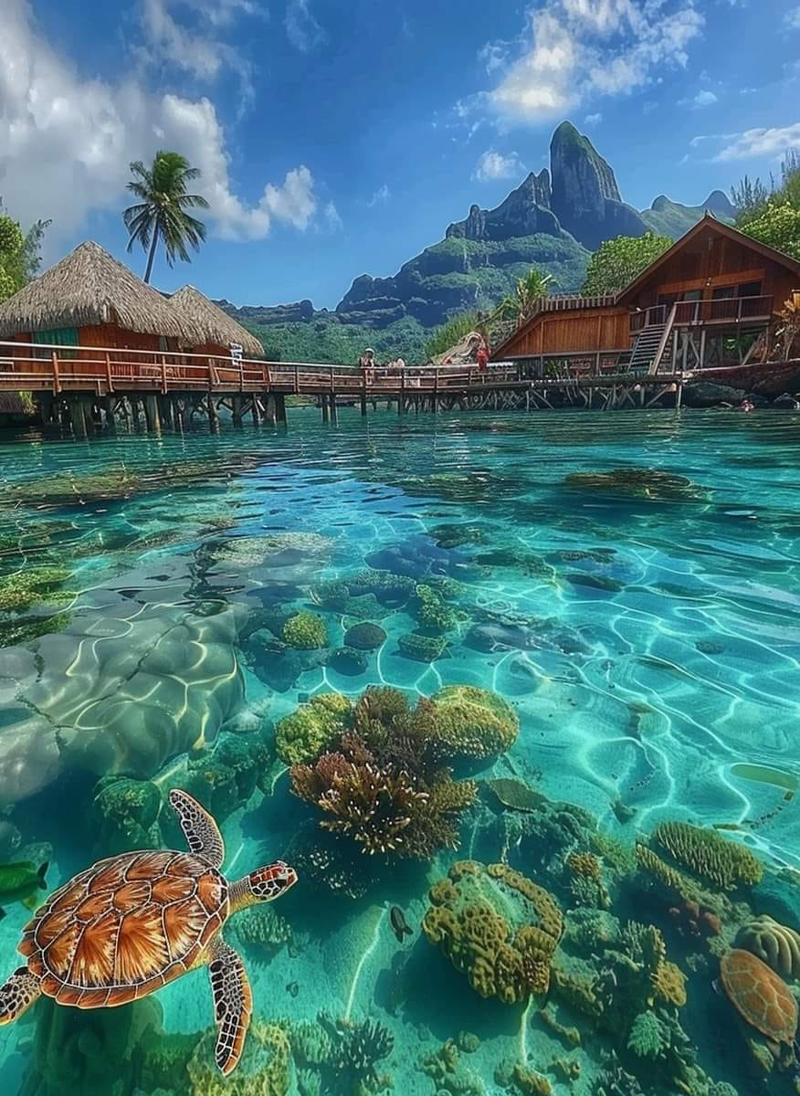 Bora Bora