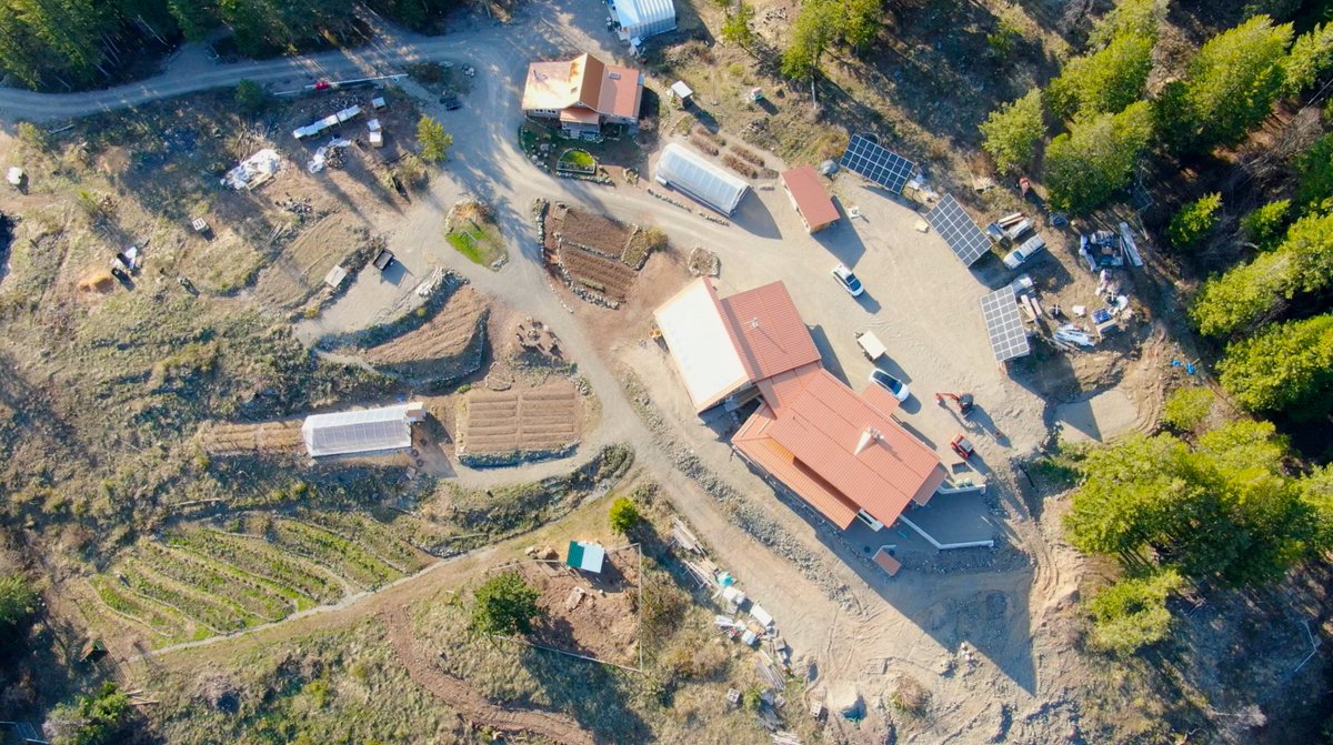 offgridstone's tweet image. Spring is full on up here. Everything greening up really nice!