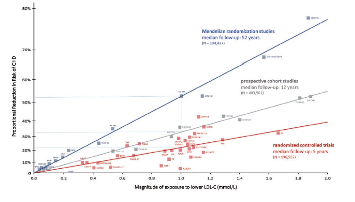 Sam Tsimikas, MD tweet media