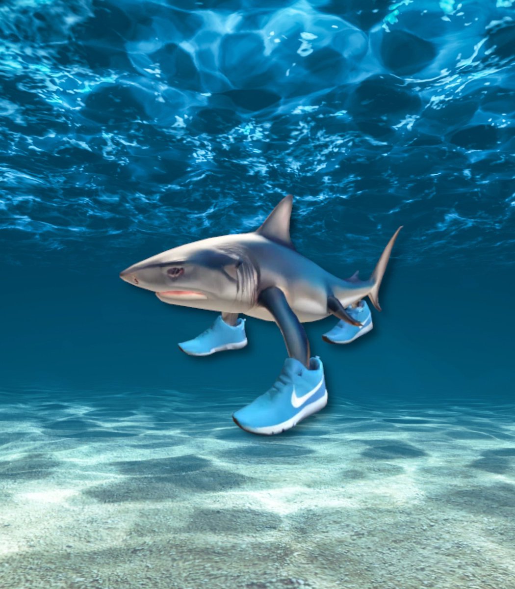 Dexerto's tweet image. Scientists found that a big rise in shark attacks is directly linked to influencers trying to take pictures with them

They have advised people to not touch sharks