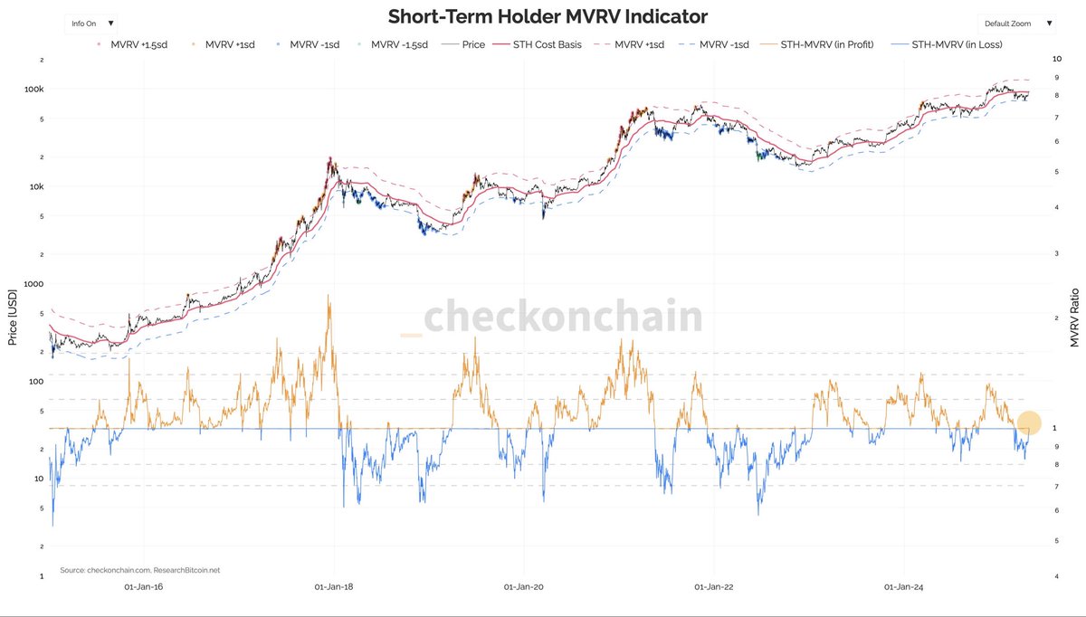 I think the bull run is about to start 👀💥