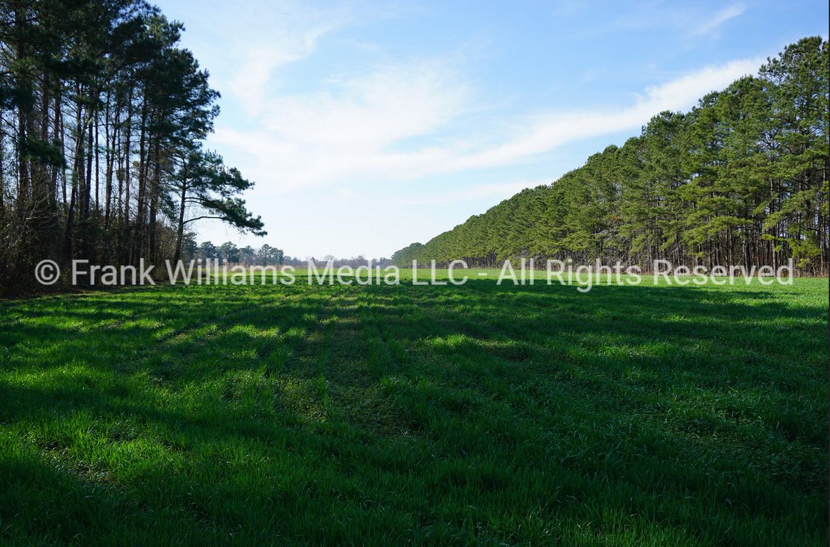 I've just uploaded some new photos! Check them out at frankwilliamsphotos.com (scroll down to "recent images"). Photos are available for purchase as downloads, prints, wall art, desk art, greeting cards, and more. #photography #nature #naturephotos