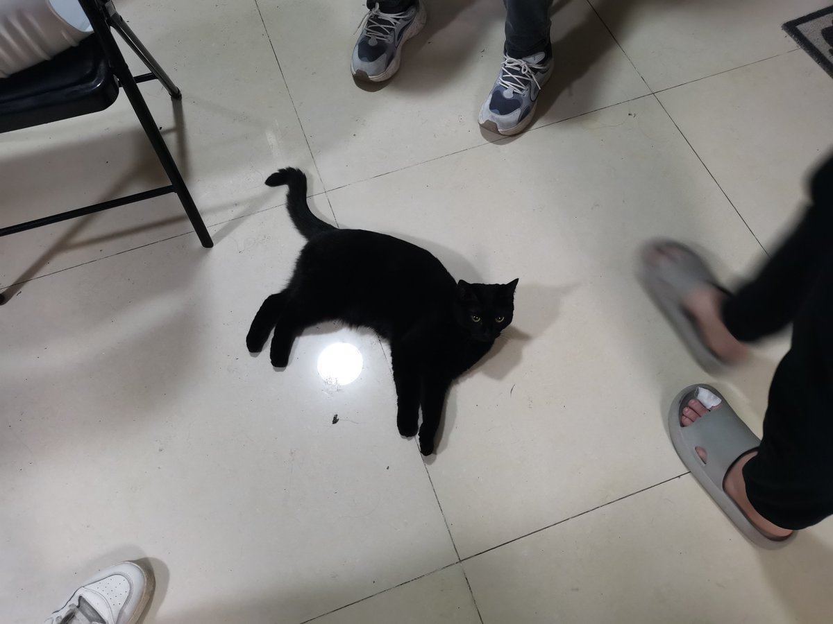 挡路黑猫

红叶然然家的堕堕
<a href="/Lady_Ranran/">然然🏳️‍⚧️~~</a>