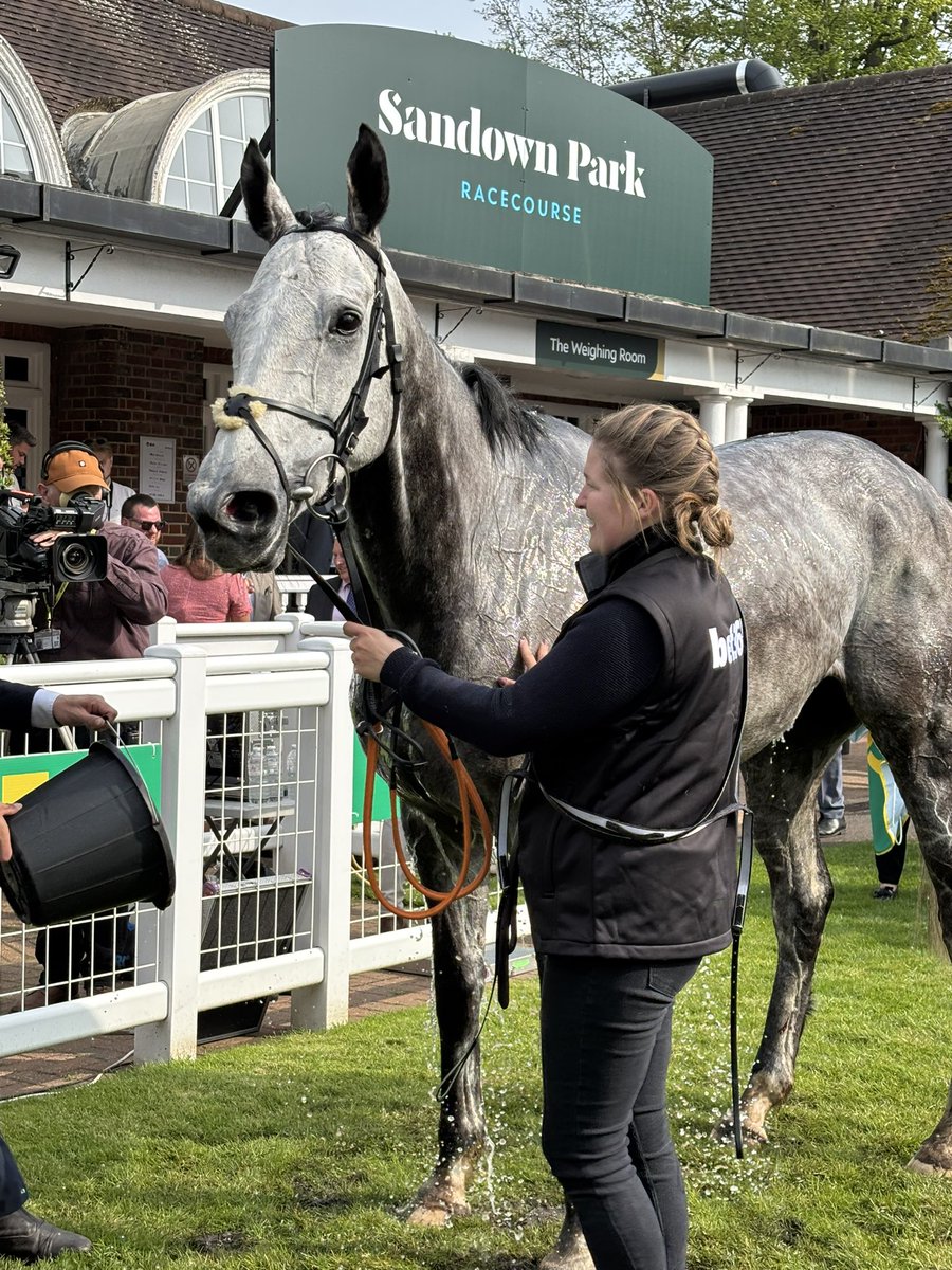 jennyelliott88's tweet photo. Congratulations @Sean_Bowen_ @O_J_murphy91 @hturner94 🩶👏🏼🏇🏽 https://t.co/Fe89mDpsnl