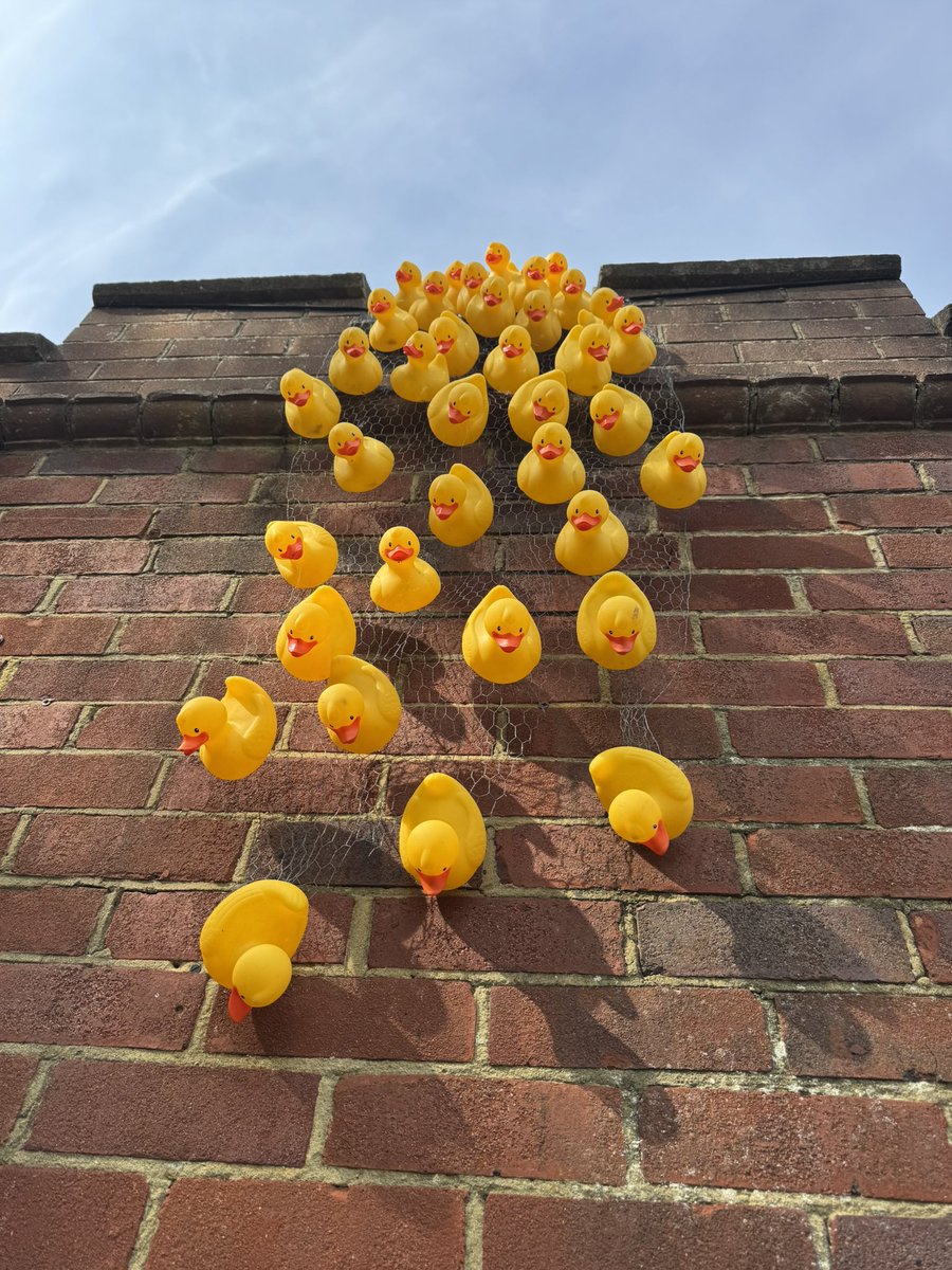 peterboo's tweet image. Lovely walk around #sheffieldpark @nationaltrust today - but a shame about the raw simnel scone in the tea room after 🤢