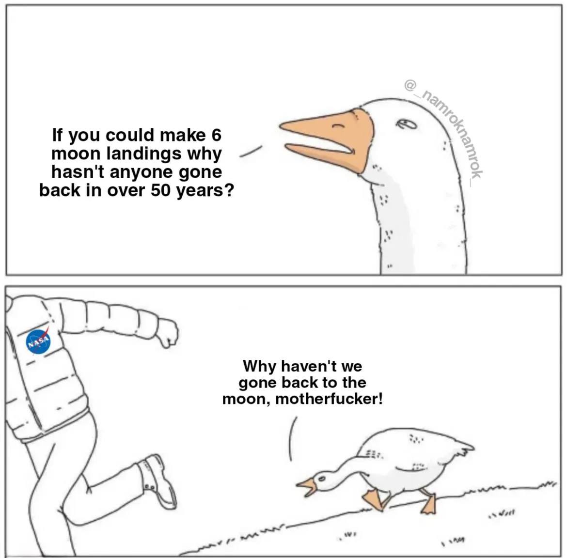 Info Battle Maiden tweet media