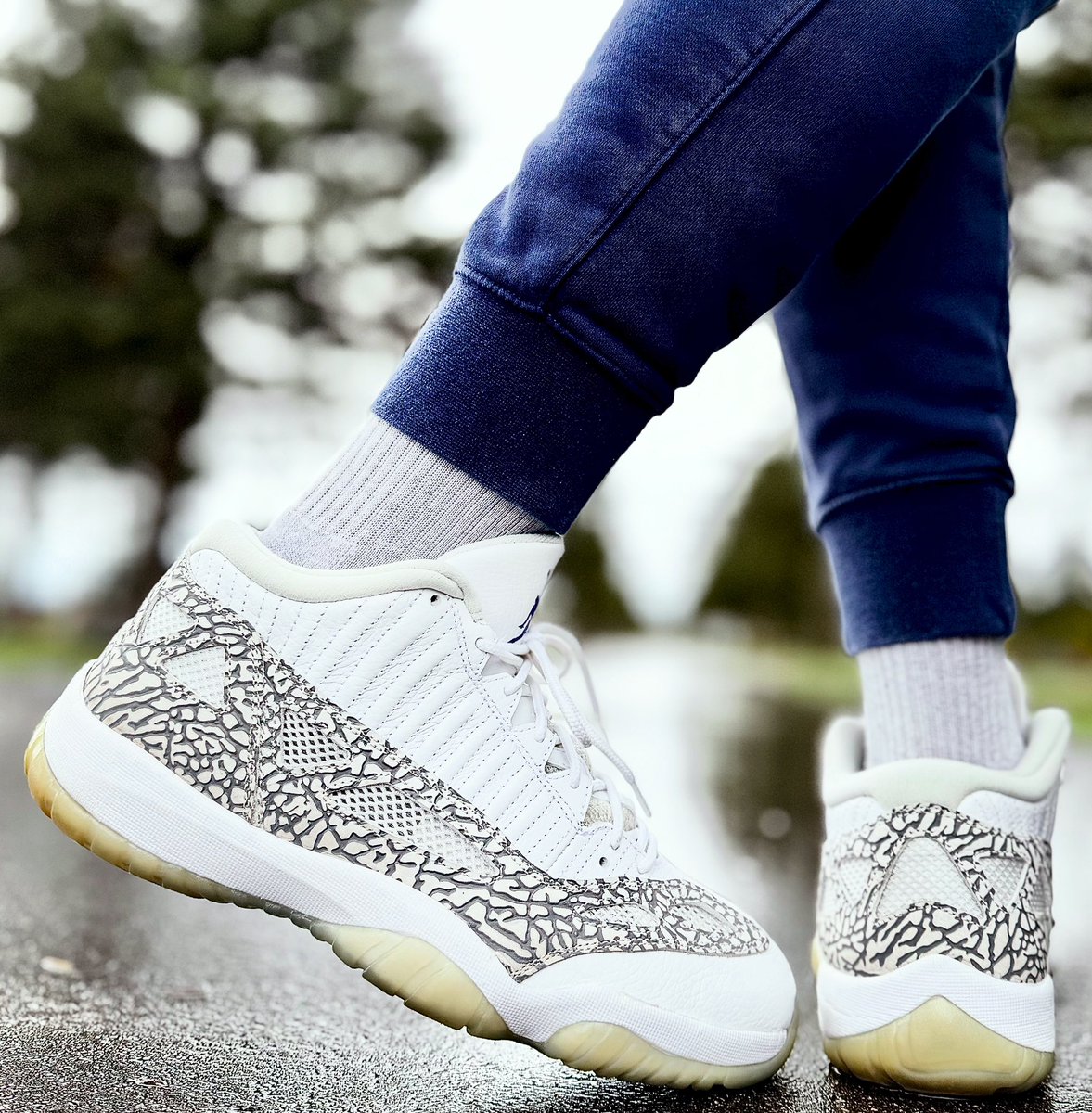 🫡🏆💯 #KOTD Air Jordan 11 Low IE ‘Cobalt’ #JMillzChallenge #SNKRS #YourSneakersAreDope