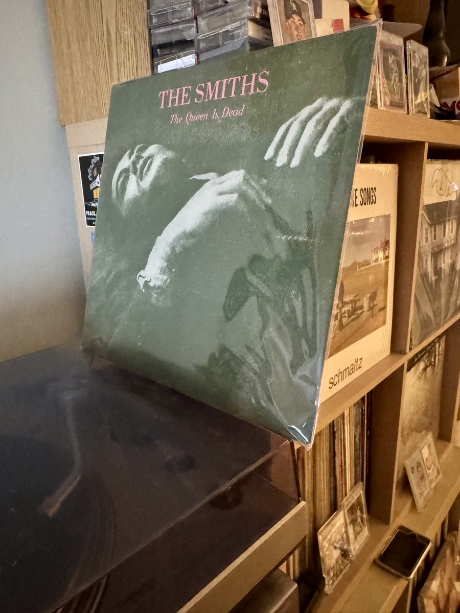 Shane Rockey tweet media