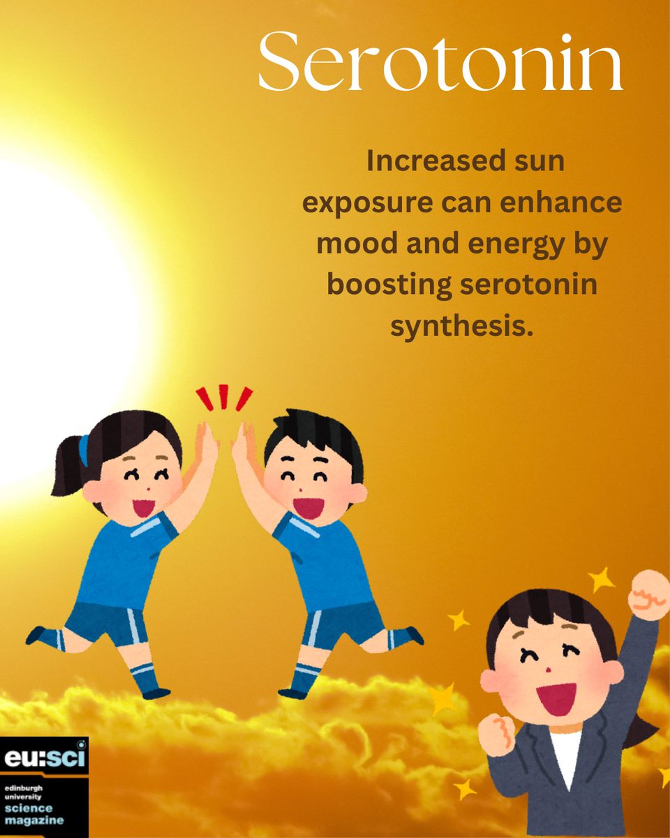 eusci's tweet image. It’s slowly but surely getting sunnier here in Scotland! 🏴󠁧󠁢󠁳󠁣󠁴󠁿☀️
When the sun shines we experience an energy boost from serotonin, so make sure to take advantage of the increasing sun rays whenever possible!✨
.
.
.
#Biology #EUSci #ScienceComm #ScienceCommunication #Science
