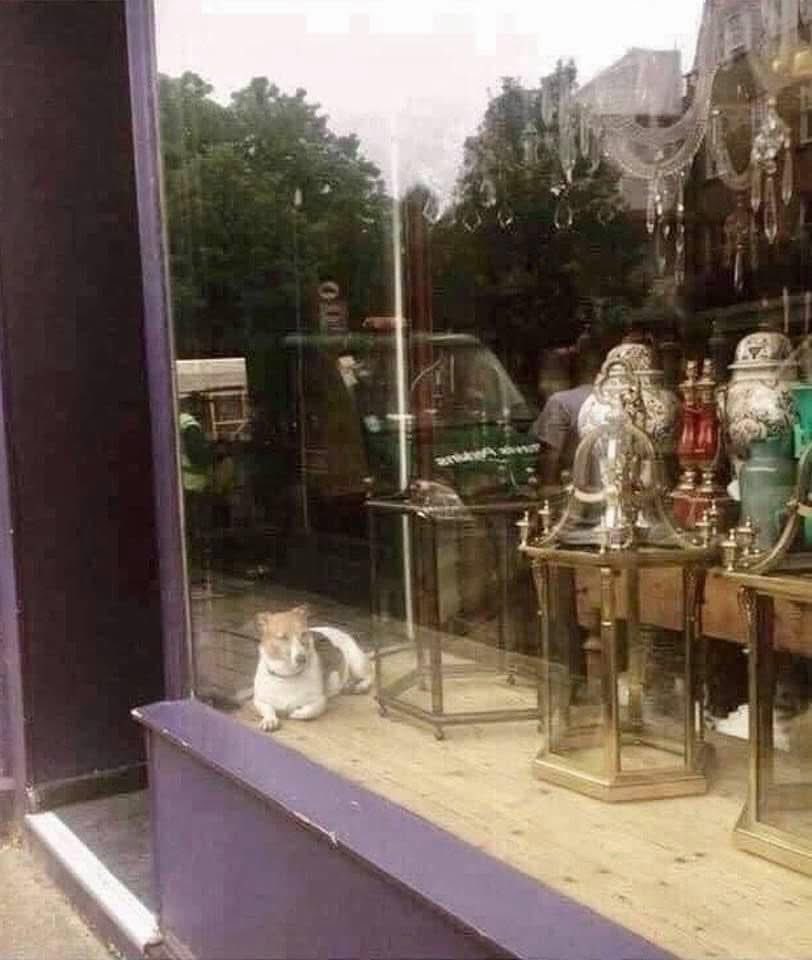 BigBearF1's tweet photo. So very very tempted to go in and ask!? https://t.co/rp6rXvPscK