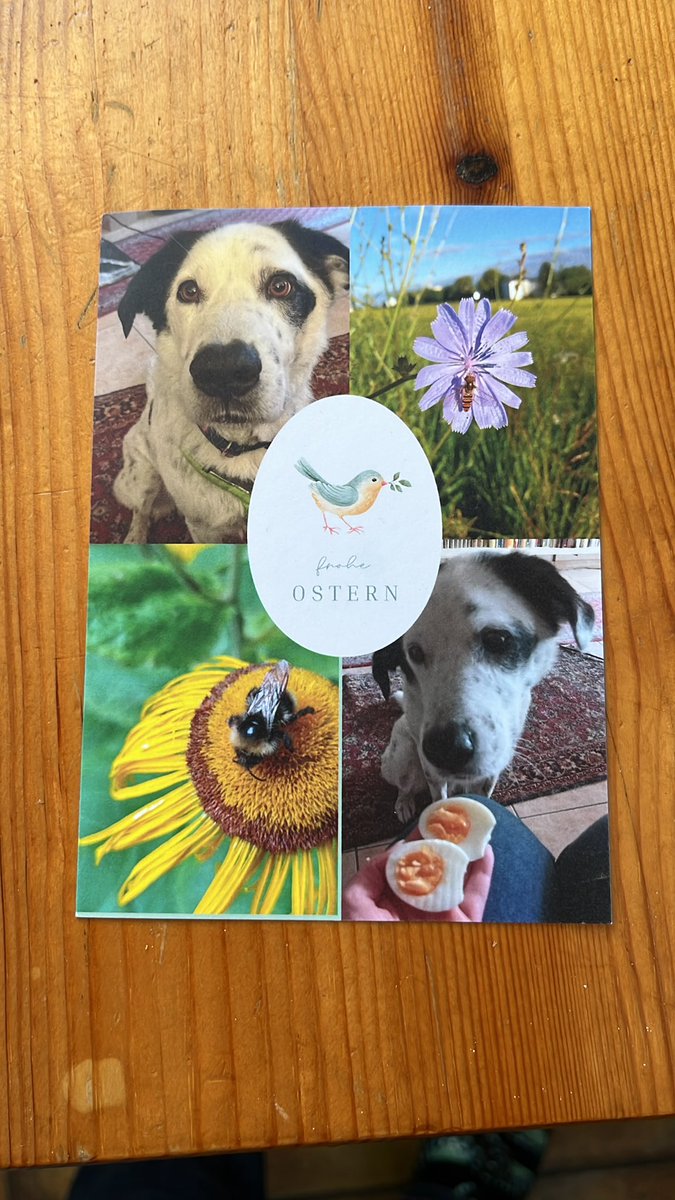 Vielen lieben Dank an <a href="/alvies_life/">Andrea und Lupo</a> 
Ich habe mich sehr über euere Karte gefreut. Auch wenn die Post ein bisschen länger gebraucht hat um bei mir anzukommen.