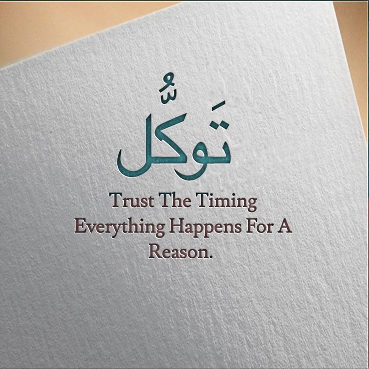 _hamdan_faz3's tweet image. Sometimes, the universe just knows what you need, even if you don&apos;t. ✨ #fate #meanttobe #universehasaplan